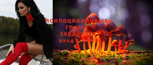 амф Новозыбков