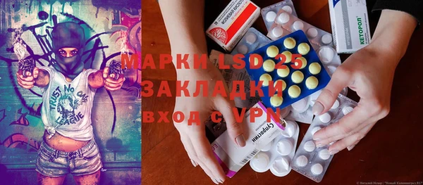 индика Новокубанск