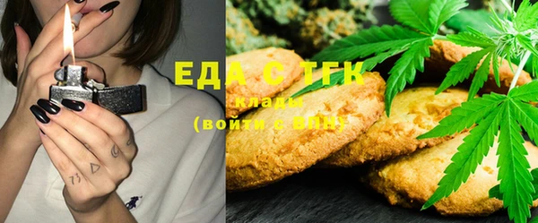 эйфоретик Аркадак