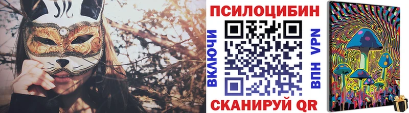 Псилоцибиновые грибы Magic Shrooms  сколько стоит  ссылка на мегу зеркало  Багратионовск 