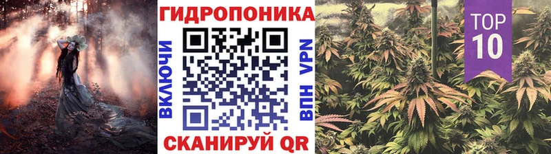 Конопля сатива  магазин    гидра маркетплейс  это наркотические препараты  Багратионовск 